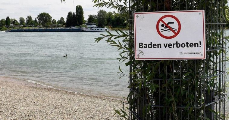 Mannheimer Strandbad: Stadt will Grillzone im Grünen begrenzen